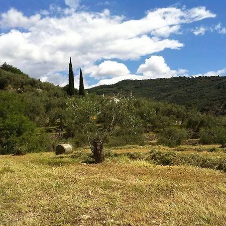 Farm stay Azienda Agrituristica Alessandro Giordano Imperia