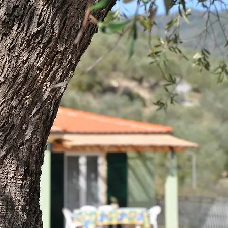 Azienda Agrituristica Alessandro Giordano Imperia
