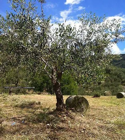 Azienda Agrituristica Alessandro Giordano Farm stay *