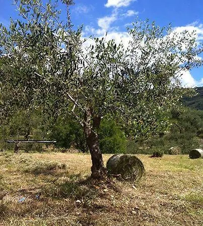 Azienda Agrituristica Alessandro Giordano Farm stay *