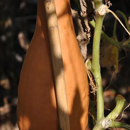 Azienda Agrituristica Alessandro Giordano Gospodarstwo agroturystyczne